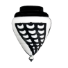 copy of Spider