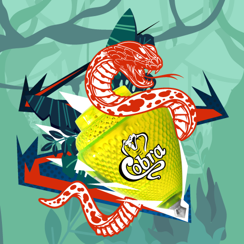 ICO-TRUCO-COBRA-v1.png